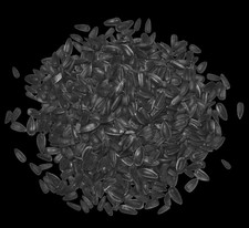 Sonnenblumenkerne schwarz 25 kg gereinigt Winterfutter Vogelfutter Streufutter