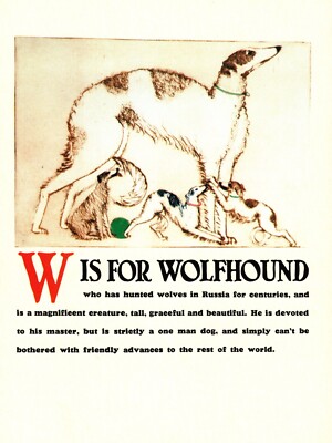 Vintage Russian Wolfhound Print Borzoi Print Letter W Alphabet ABC Print 6374L