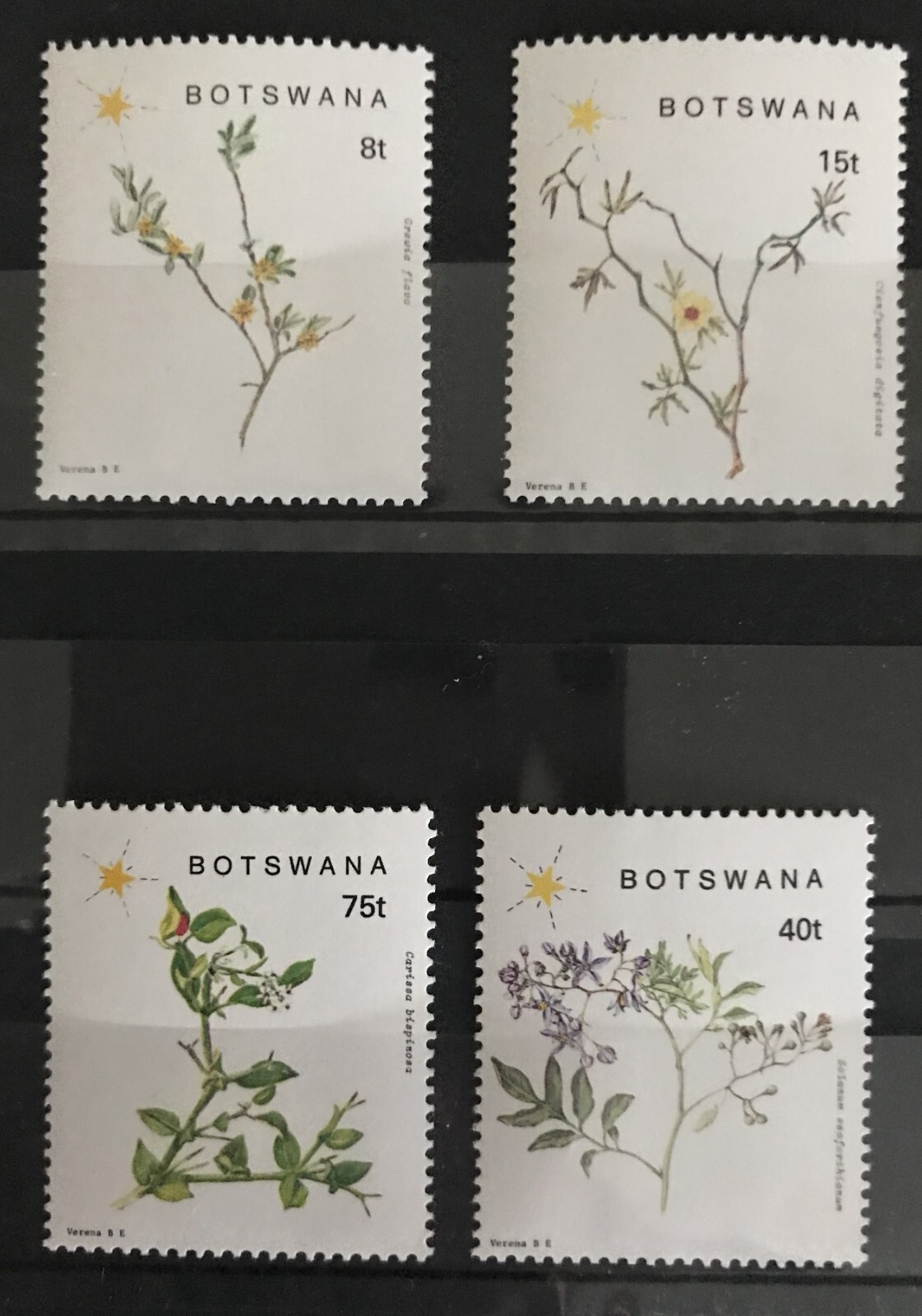 BOTSWANA - 1988 FLOWERING PLANTS NHM SET SG 665 - 668 | eBay