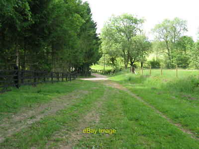 Photo 6x4 Bridleway approaching drive to Dunsfold Ryse Highstreet Green  c2010