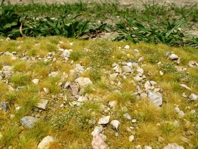 Model Scene Grass Mat w/Calc Stones - Late Summer Mini Pack (Size: 13 x 17 cm)