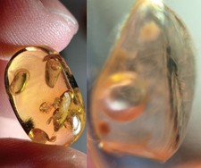 movable water bubble enhydros Burmite Myanmar Amber insect fossil dinosaur age