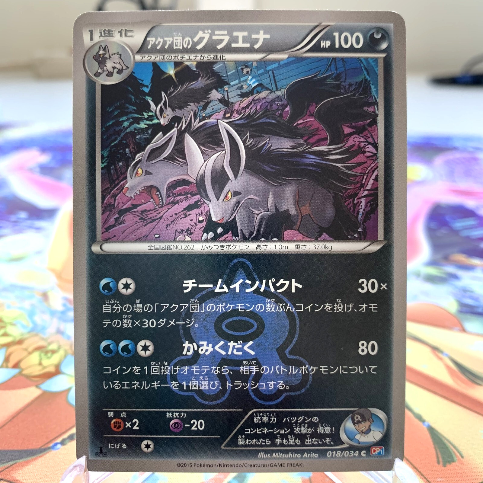 Team Aqua's Mightyena 018/034 1st Edition CP1 Japanese Pokemon Card ~ MP