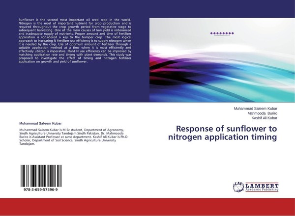 Response Of Sunflower To Nitrogen Application Timing Muhammad Saleem Kubar-image
