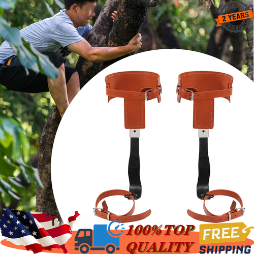 Tree Climbing Spike Set Adjustable Safety Belt Gloves Lanyard Rescue Belt 440lbs