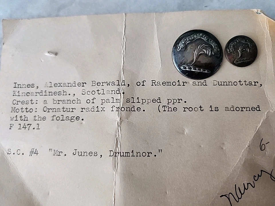 Antique Pewter? Metal Buttons Ornatur Radix Fronde Branch Of Palm - Image 3 of 4