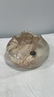 Bild 8 von 17