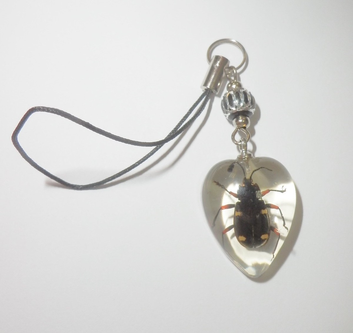 Insect Acrylic Hanger Heart Shape Spotted Ground Beetle Clear SS53