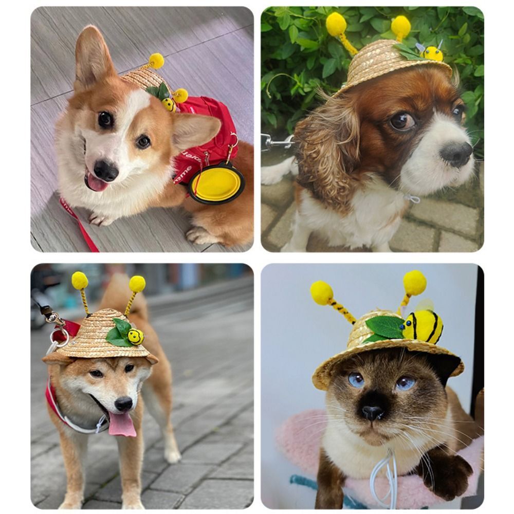 Woven Bee Ladybug Puppy Headdress Dog Sun Hat Dog Straw Hat Dog