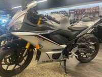 2020 Yamaha YZF-R3