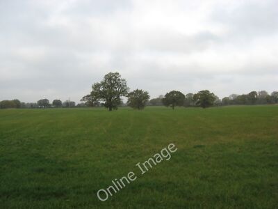 Foto 12x8 Eichen im jungen Timothy Grass Hebden Green um 2011