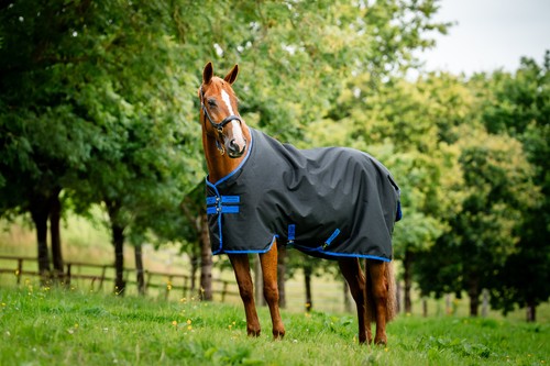 Horseware Amigo Hero Ripstop 900d Fleece Lined Turnout Rug 50g Lite 5'6"-7'0" - Picture 12 of 27