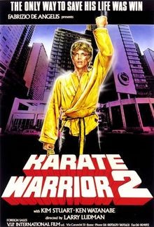 Karate Warrior 2 - Blood Tiger von Larry Ludman | DVD | Zustand sehr gut