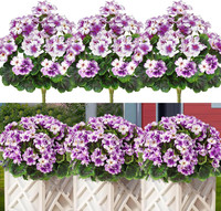 Kunstblumen Wie Echt 44CM KüNstliche Geranien Seidenblumen 3 BüNdel Lila
