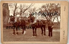 CABINET CARD RARE TOUGH OF FORFAR PLOUGHING HORSE WORKING FARM SHIRE DRAFT PHOTO