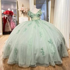 Light Green Shiny Ball Gown Quinceanera Dresses Applique Lace Sweet 16 Dress