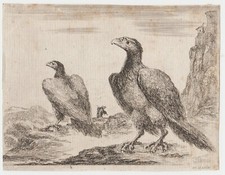 Stampa antica Stefano Della Bella due aquile 1651 acquaforte incisione