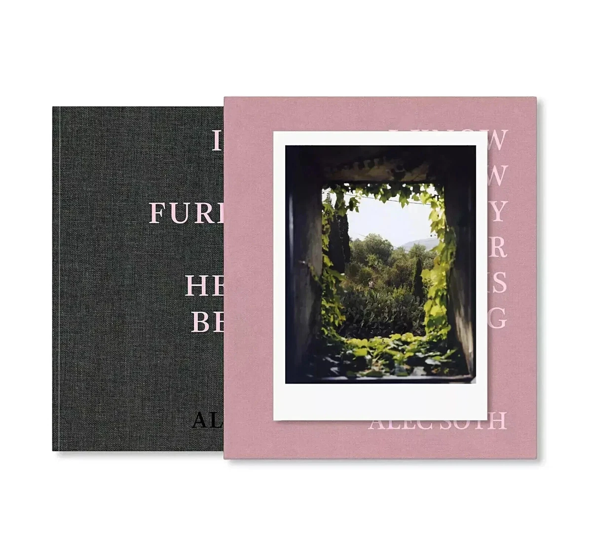 alec soth products for sale | eBay