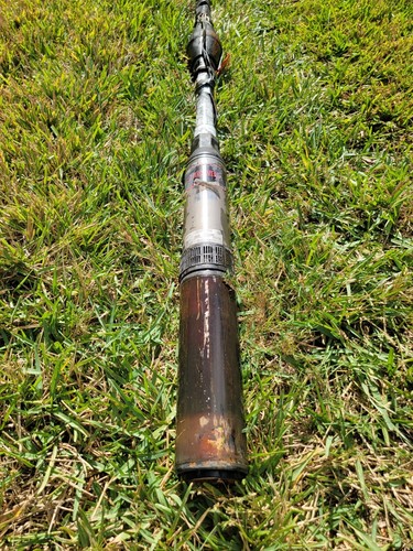 Parts Red Lion RL22G10-3W2V 4" Deep Well Submersible Pump, 1 HP, 230V No Box