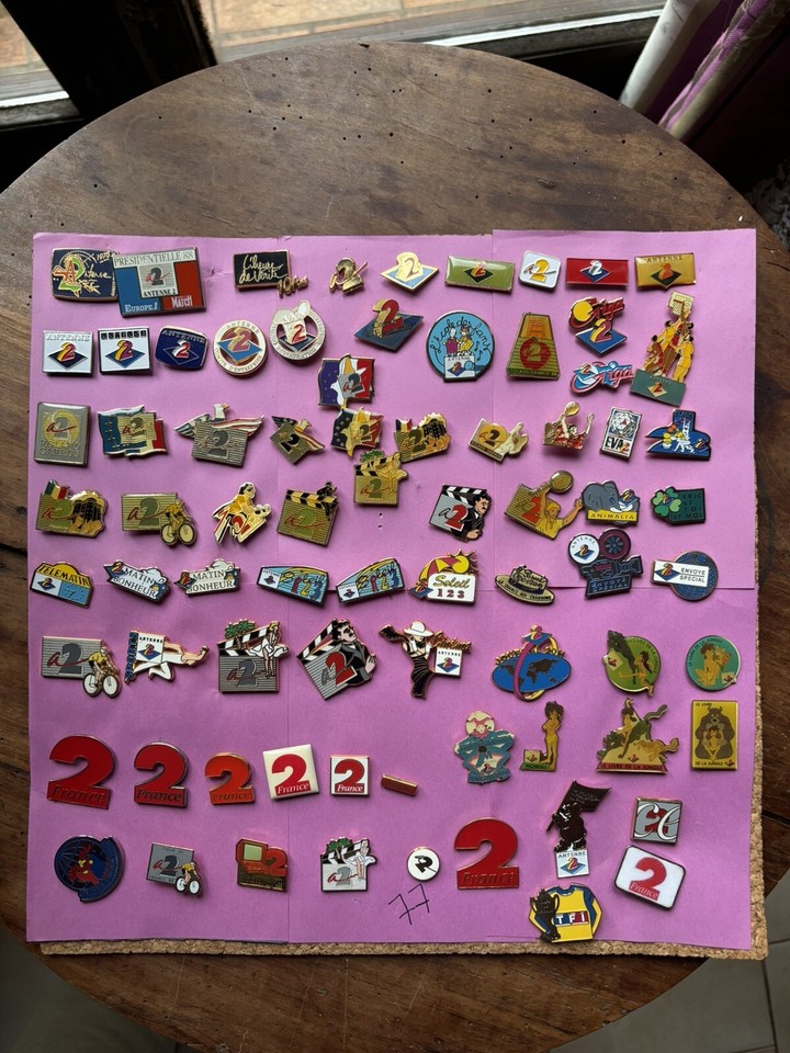 collection de pin's 450 Pièces eBay