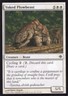 YOKED PLOWBEAST 31/249 SHARDS OF ALARA MTG MAGIC LP (yourdeckbuilder)