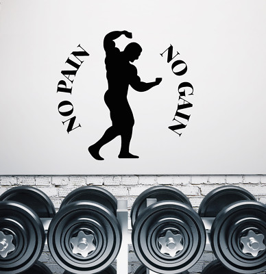 Vinyl Wall Decal Motivation Quote For Gym No Pain No Gain Stickers ...