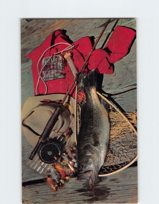blue ice fishing pole Defender Combo 30