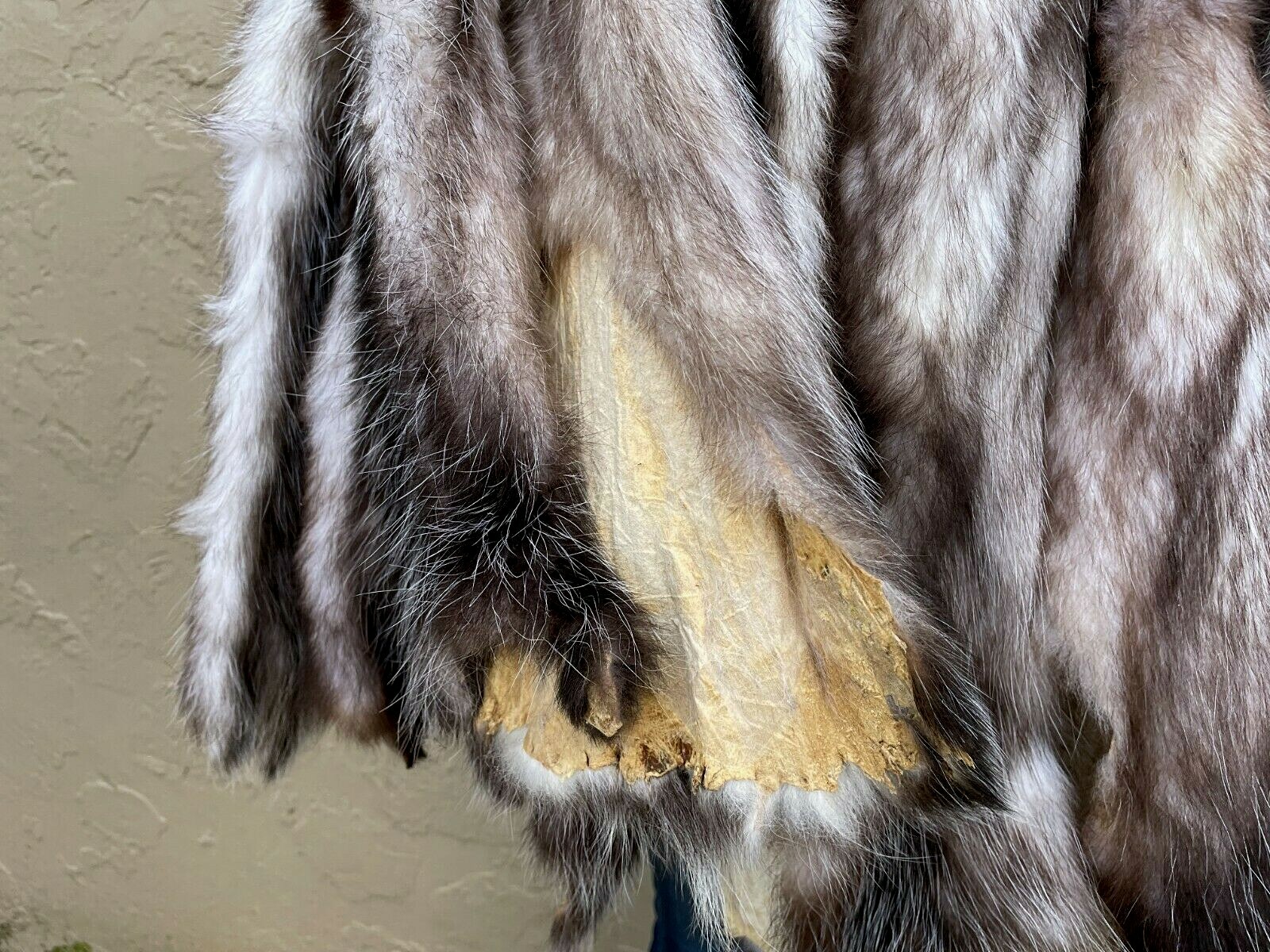 Soft Tanned Possum, pelt, hide, fur Good gur (pos) eBay