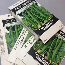4 BUSH BEANS Tennessee Green Pod Card SEED Co Boxes Fredonia NY Vintage Original