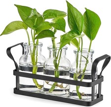 Propagation Stations W/ Metal Stand Desktop Plant Terrarium Glass Planter Vase