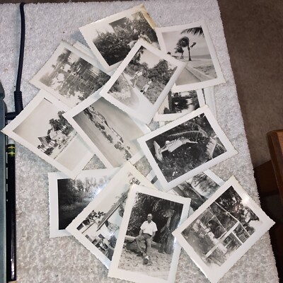 1940s? Photo Lot  15 Assorted , Florida St Augustine, Scenery, Marine Studios