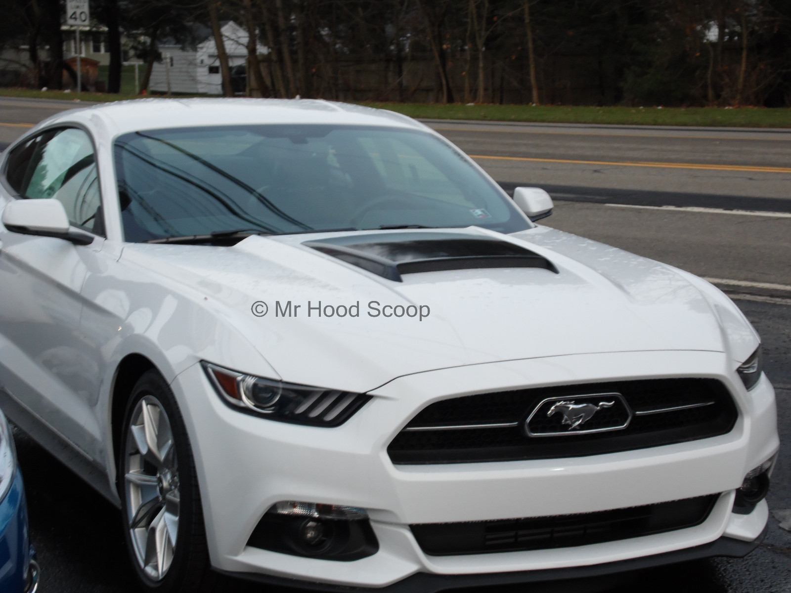 Amazing 2015 Mustang Hood Scoop Gallery