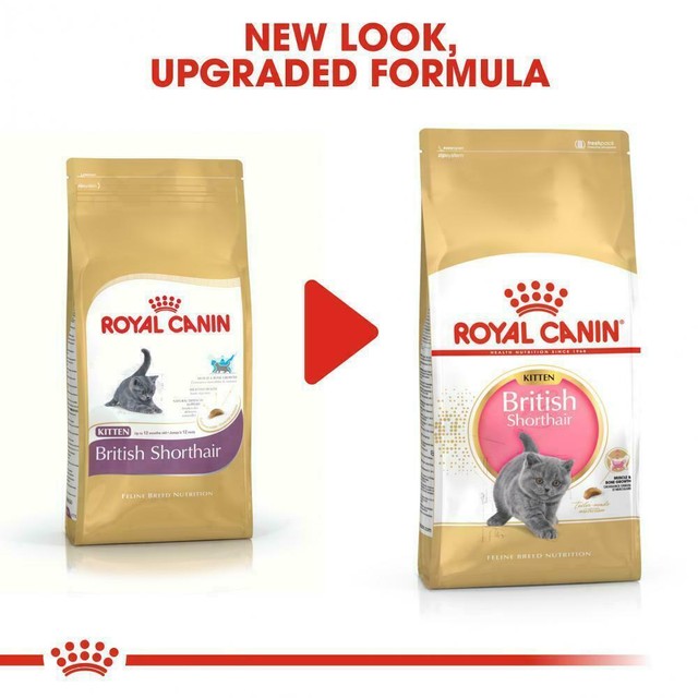 royal canin feline british shorthair 10 kg