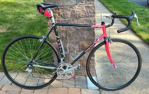 team fuji road bike