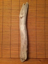 Beautiful 19" DRIFTWOOD Piece Terrarium Taxidermy Aquarium Beach Wood DECOR Art