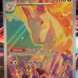 Pokemon Cards Rapidash