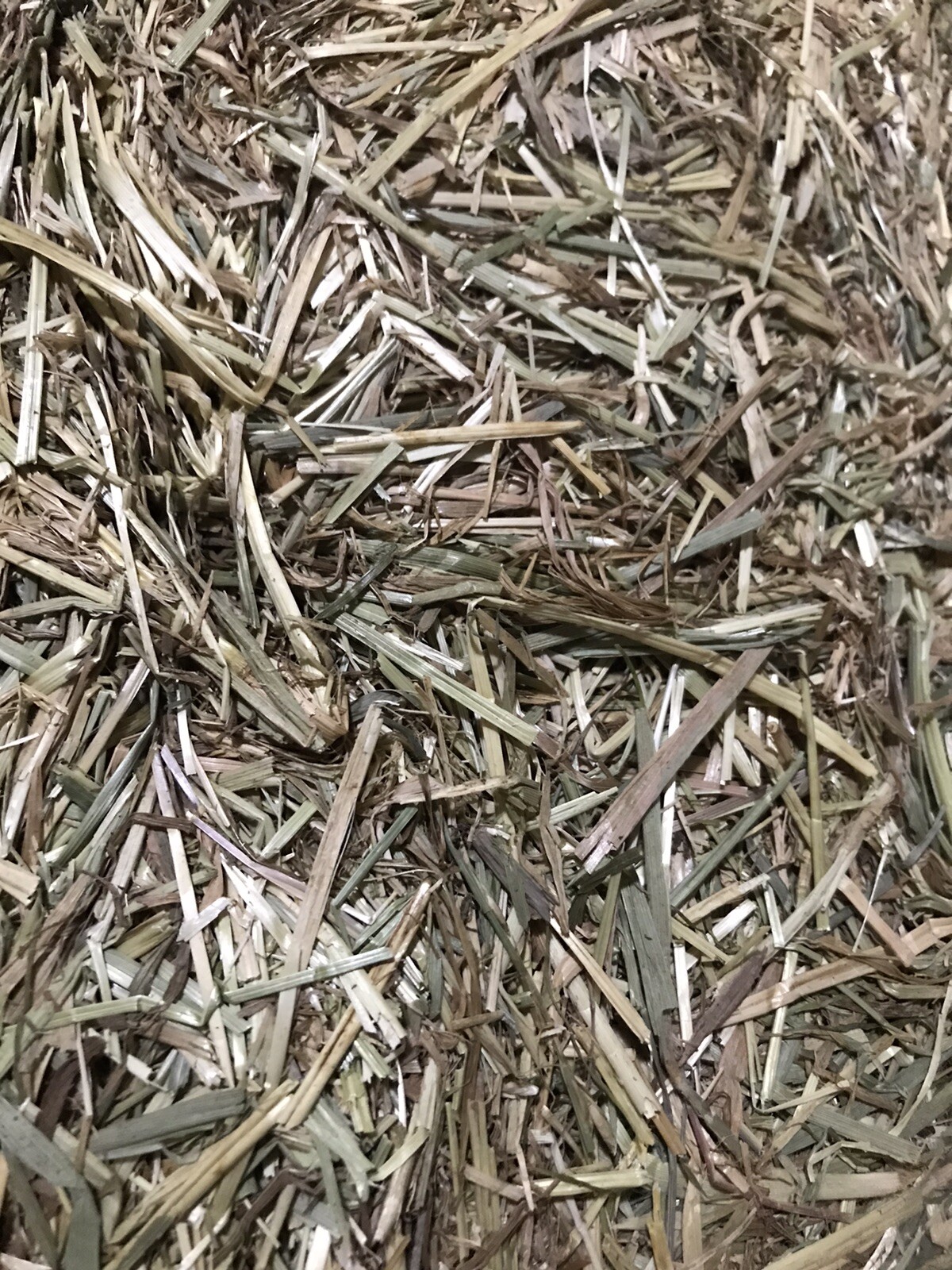 Premium Timothy Rye Hay Bale 10.5Kg for Rabbits Horses Small Animals