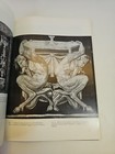 Picture 8 of 8