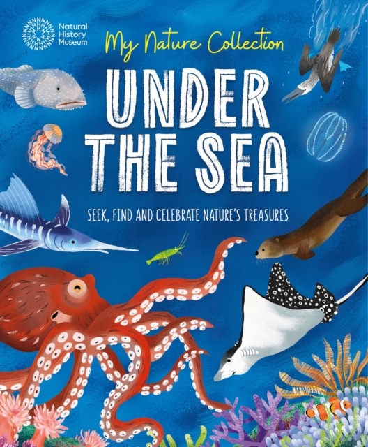 My Nature Collection: Under the Sea by Cameron Menzies (Paperback Book)