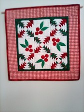 New Hand Made Hand Quilted Wall Hanging 18x18