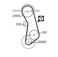 Gates 5016 Zahnriemen für AUDI PORSCHE SEAT VW 5016 Zahnriemen Riementrieb