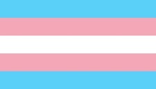 New Indoor/Outdoor Transgender Pride Flag - 100% goes to LGBTQ+ Organization