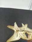 Foto 6 di 10