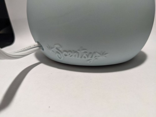 Scentsy Baby's Breath Retired Flowers Baby Blue Wax Warmer in Box - Picture 5 of 6