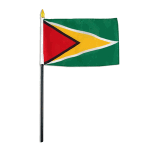 "4x6" Guyana Flag / Guyana Desk Flag / Guyana Stick Flag - Picture 1 of 1