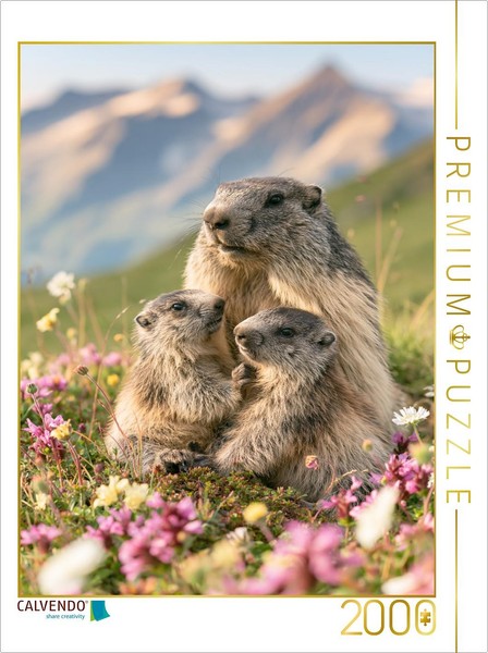 "Calvendo Puzzle An Image From The \"Wild And Wonderful\" Calendar | 2000 Pieces, F"-image