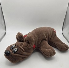 mini pound puppie Brown