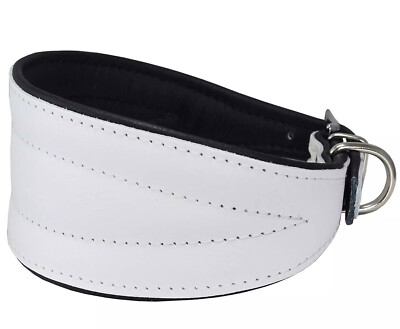 Real Leather Extra Wide Padded Tapered Dog Collar White Greyhound Whippet