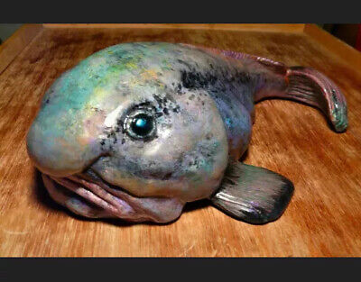 Blob Fish Reproduction Fish Taxidermy.