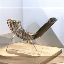 SHOFAR Ram Horn Kosher 14"-16" Judaica Made in Israel Gift stand Free shipping